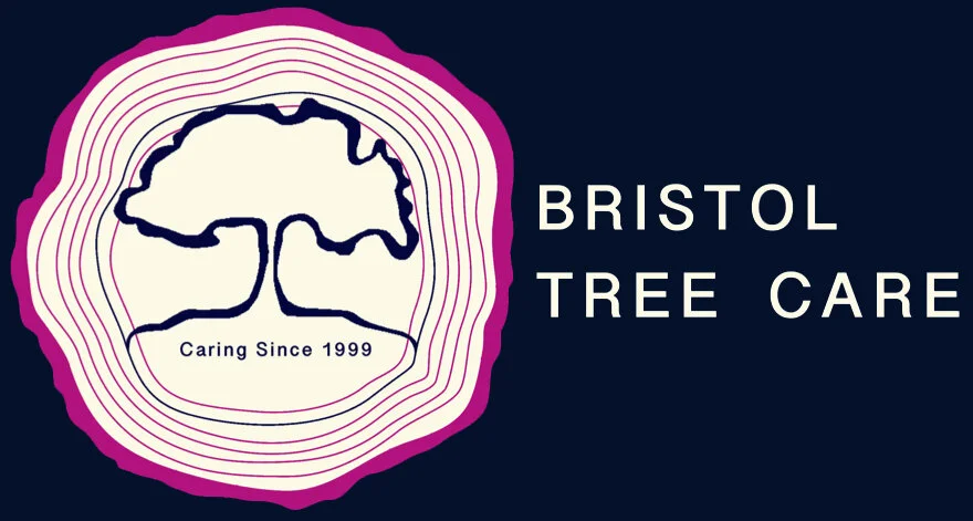 Bristol Treecare Logo